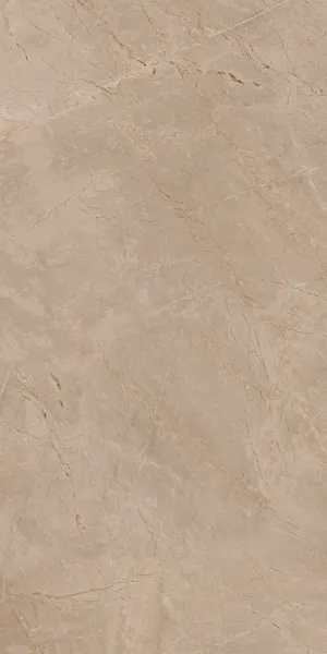 CHELIOS BROWN F