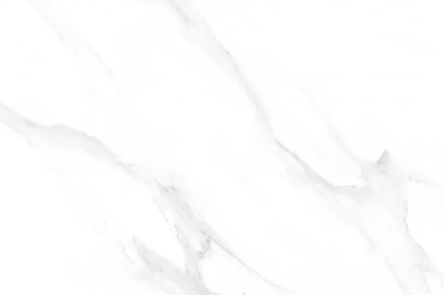 181-L-P copy