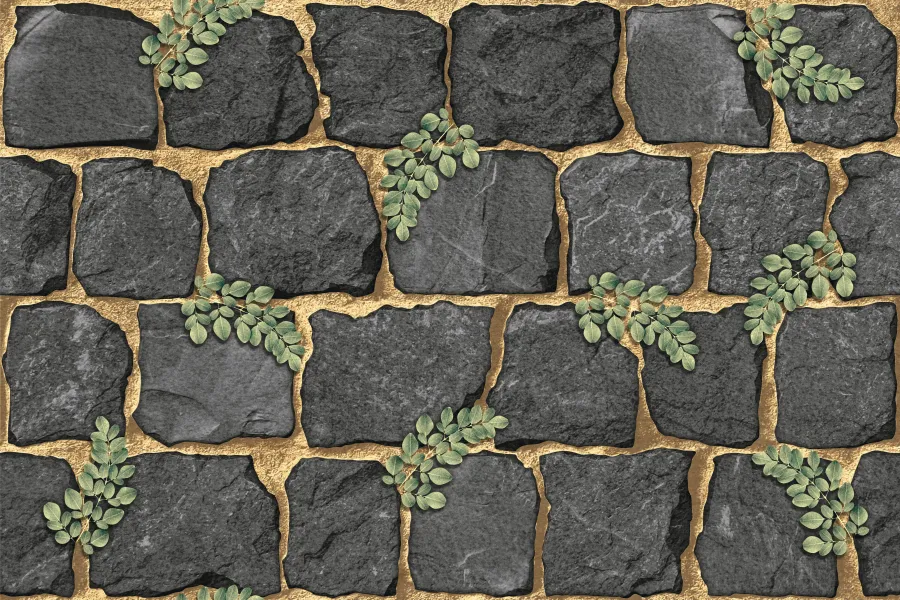 STONZA ROCKS