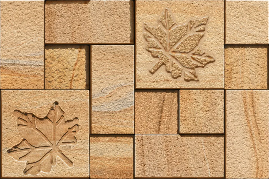 LOTUS NATURAL