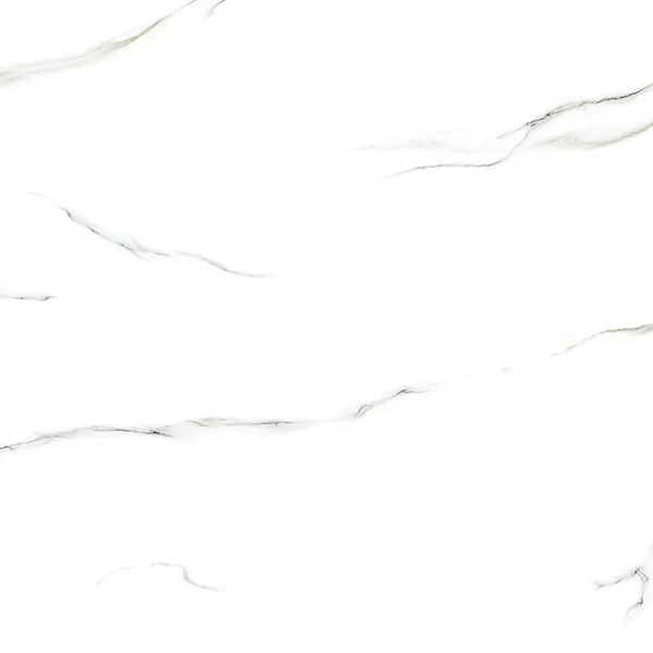 VERA WHITE-01