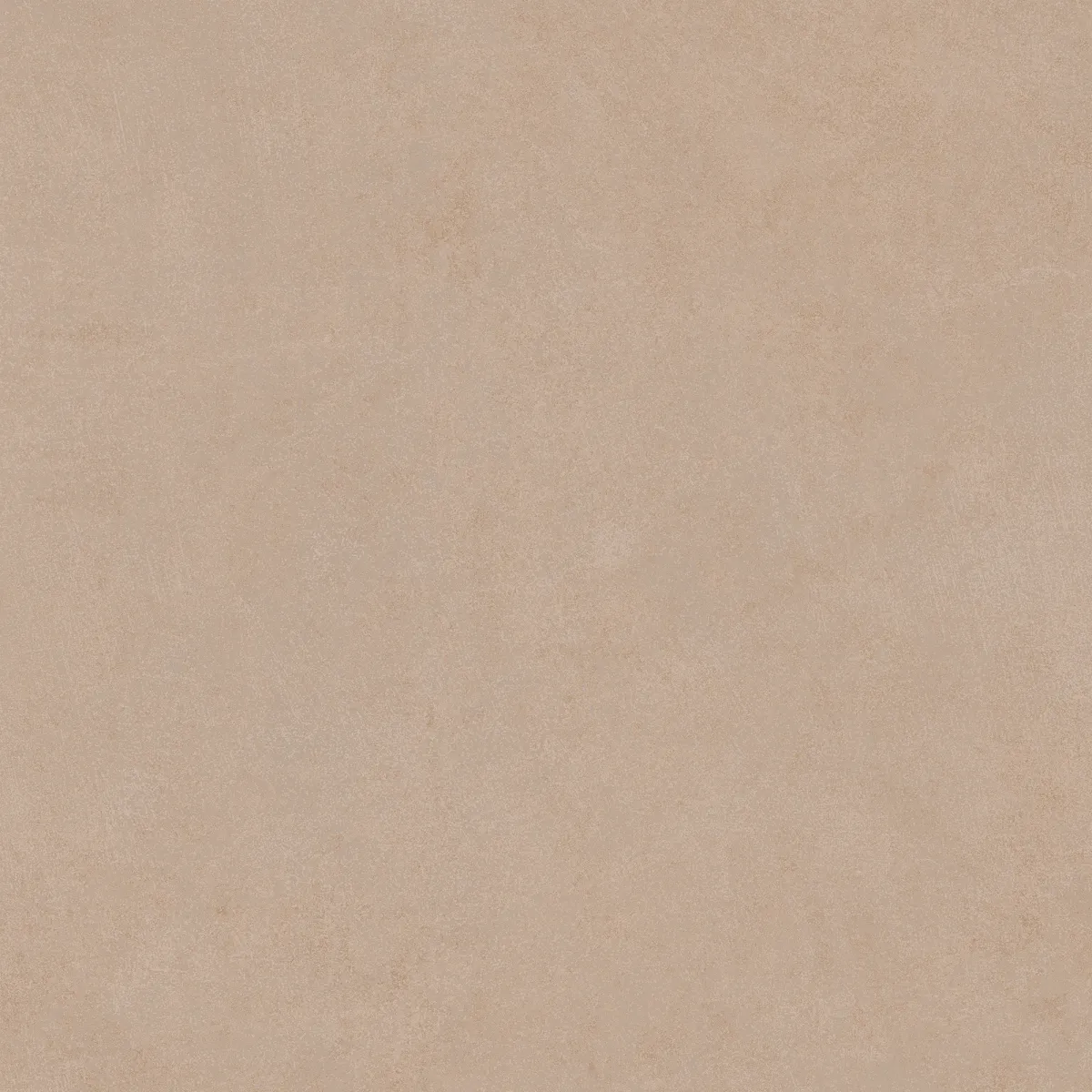 OXFORD CAMEL_P1